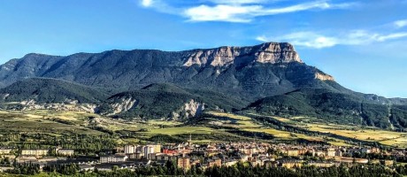 Structure of Dynamical C*-algebras